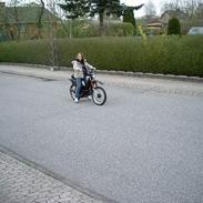 Yamaha Sting [SOLGT!]