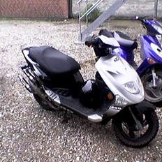 PGO dr. big TAGET AF POLITIET