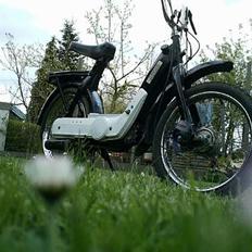 Vespa Ciao (sælges)