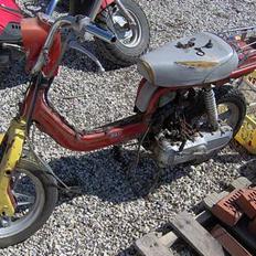 Suzuki fz 50 (projekt over 80)