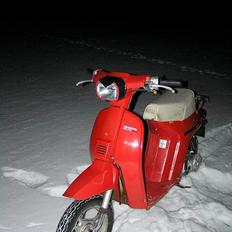 Honda melody mini SOLGT