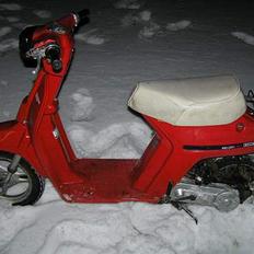 Honda melody mini SOLGT