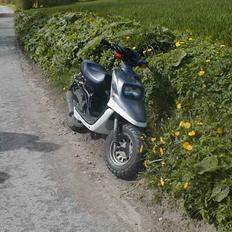 Yamaha Alle