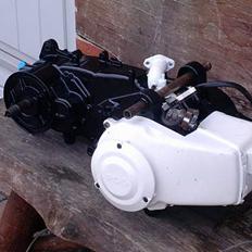 PGO hot 50 ¤polini evo¤ solgt