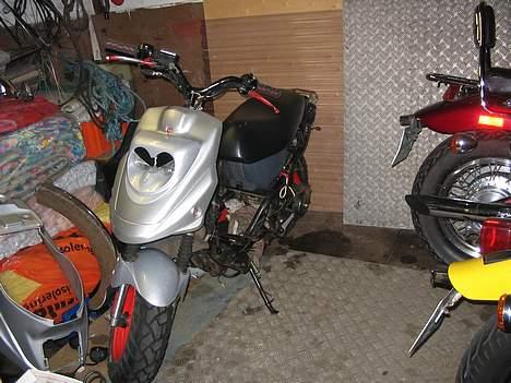 PGO hot 50 [SOLGT] - dejlig... ska bare lige have oliepumpe og stempel så ska den samles billede 12