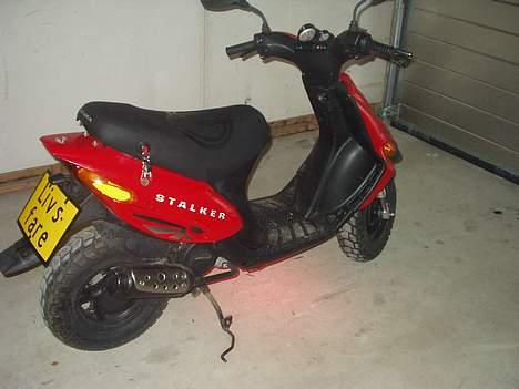 Gilera Stalker - Solgt - Nye billeder med monteret Livsfare Skilt billede 15