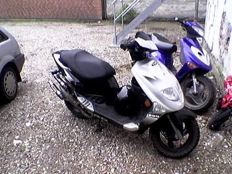 PGO dr. big TAGET AF POLITIET billede 1