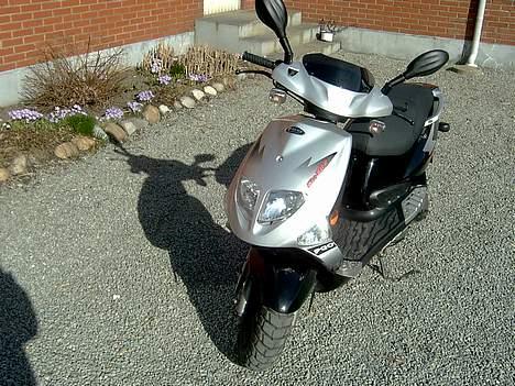 PGO Dr. BIG (solgt) billede 3