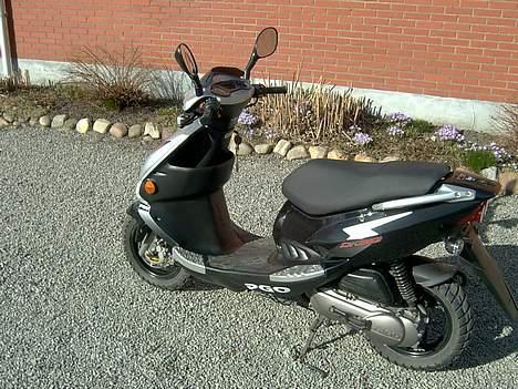 PGO Dr. BIG (solgt) billede 5