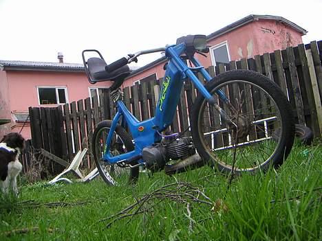 Puch               maxi  - ja et billede nede fra der er den også fed fra syndes jeg og syndes også det her billede er pisse godt. billede 17