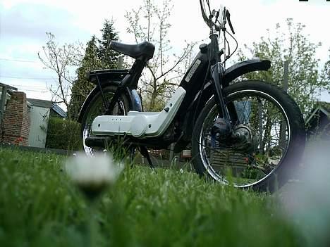 Vespa Ciao (sælges) billede 3