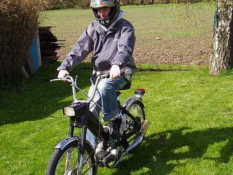 Puch Maxi K (solgt for 3000) billede 7