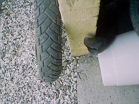 Suzuki fz 50 (projekt over 80) - bagdæk billede 7