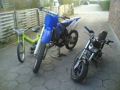 Puch maxi k billede 7