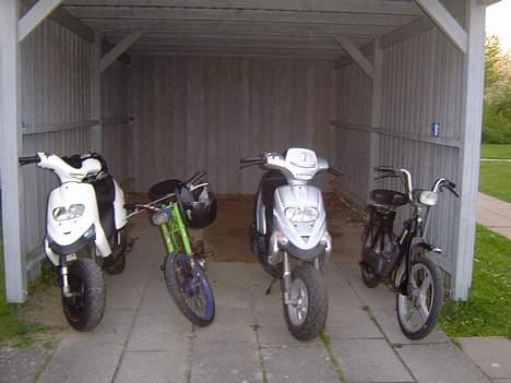 Gilera stalker  - Vennerne billede 7