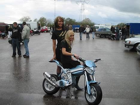 Suzuki Street Magic  "PLAYBOY"  - En fotograf spurgte om han måtte tage nogle billeder med hans 2  modeller.. Kolding den 7 maj 2005 billede 12