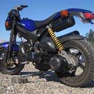 Suzuki street magic