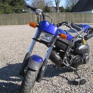Suzuki street magic