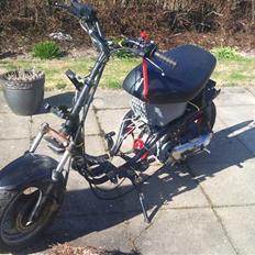 PGO hot / easy rider