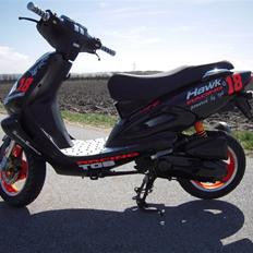 TGB Pegasus 303r Hawk til salg