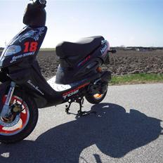 TGB Pegasus 303r Hawk til salg