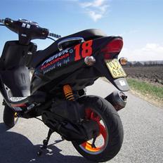 TGB Pegasus 303r Hawk til salg