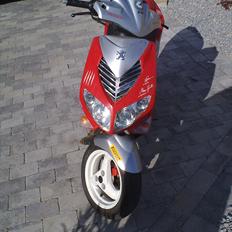 Peugeot Speedfight 2 RallyVictory