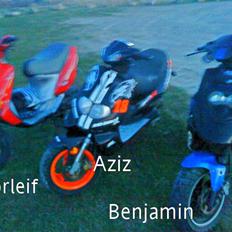 TGB Pegasus Til bytte- Sælge 