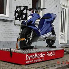 Benelli  491 "Custom" byttet