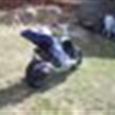 Benelli  491 "Custom" byttet