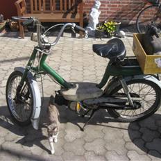 Honda Amigo CO2 neutral