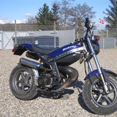 Suzuki street magic