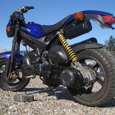 Suzuki street magic