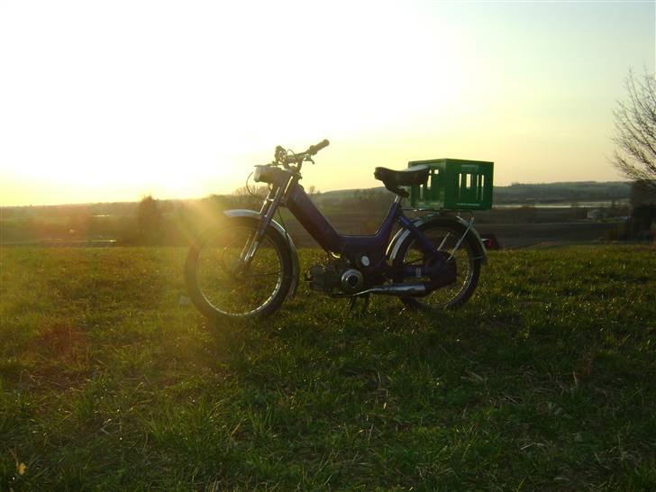 Puch maxi P - Forår 2010 billede 1