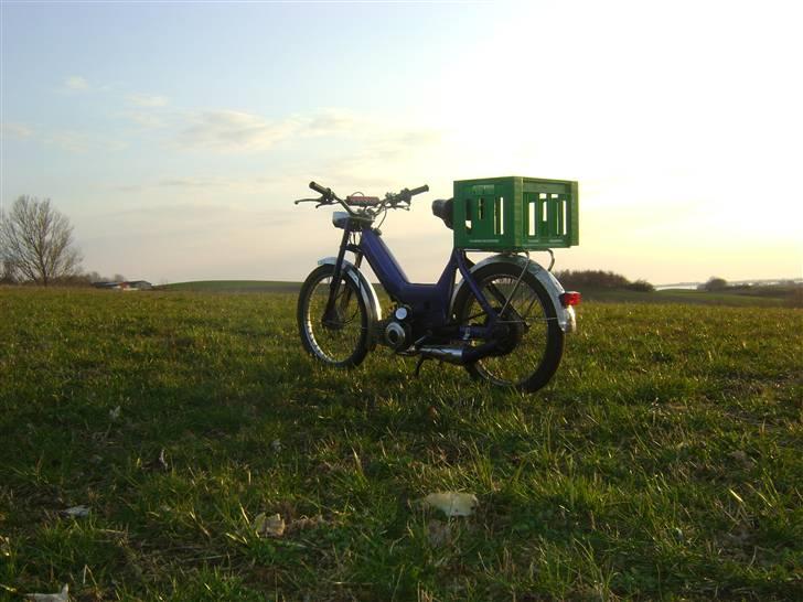 Puch maxi P - Forår 2010 billede 2