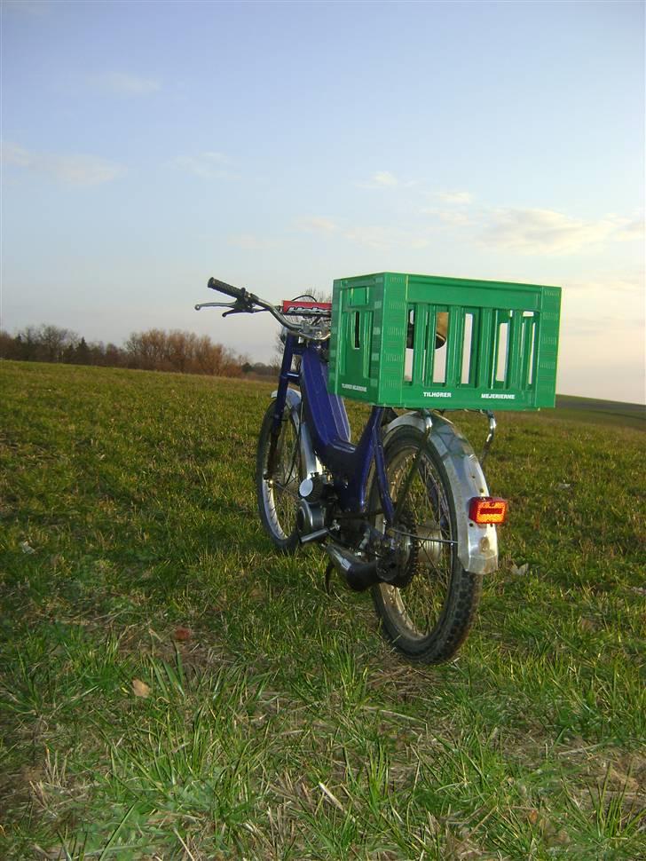 Puch maxi P - Forår 2010 billede 3