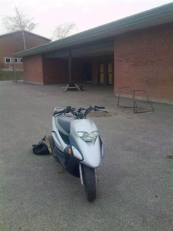 Honda sfx byttet billede 6