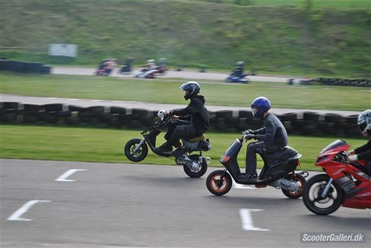 Piaggio Old Zip  - Asw1 2010 billede 5