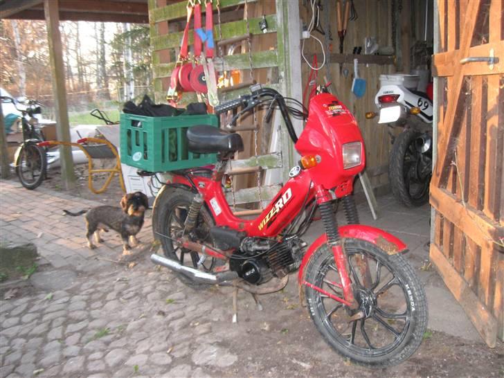 Tomos wizzrd soldt billede 4