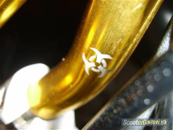 PGO hot 50 billede 5