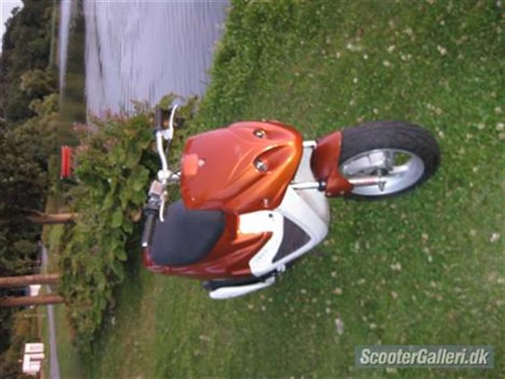 PGO Hot 50 *solgt* billede 3