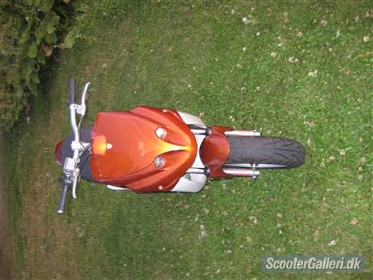 PGO Hot 50 *solgt* billede 7