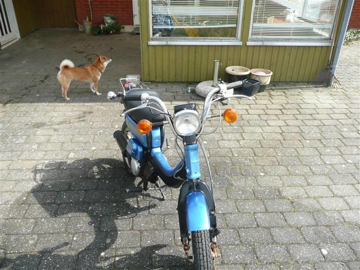 Suzuki fz50 ( Solgt ) - Til salg billede 10