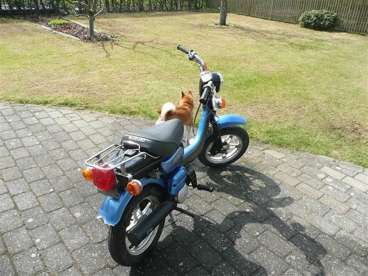 Suzuki fz50 ( Solgt ) - Til salg billede 11