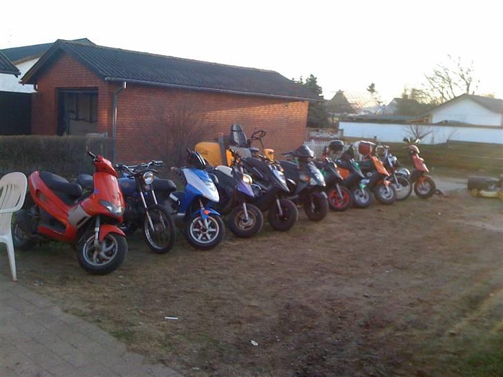 CPI Oliver Evo :Psolgt billede 7