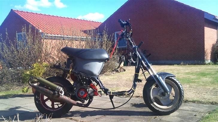 PGO hot / easy rider billede 1