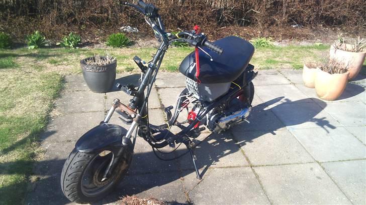 PGO hot / easy rider billede 2