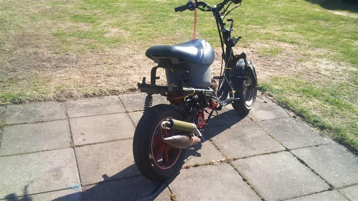 PGO hot / easy rider billede 3