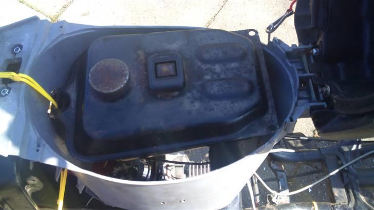 PGO hot / easy rider billede 4