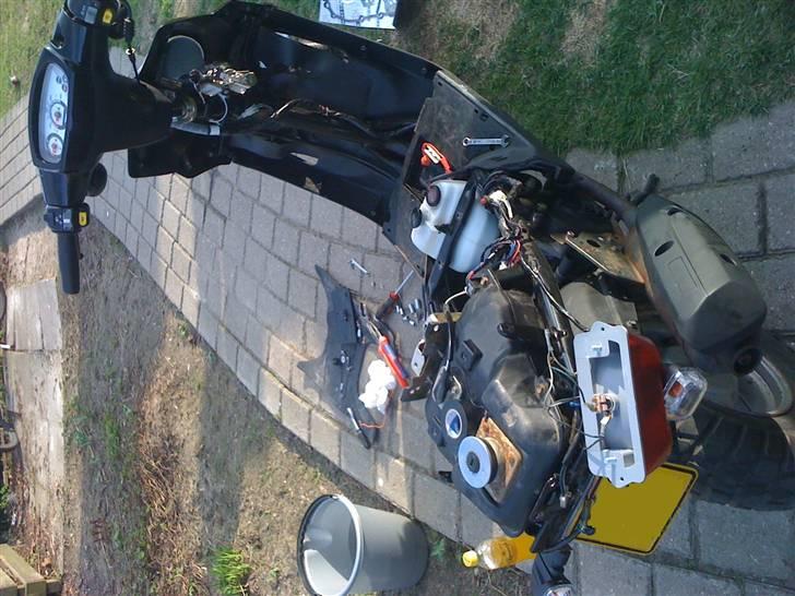 PGO Hot 50 billede 10